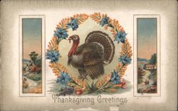Thanksgiving Greetings Turkey in Floral Wreath Rural Scenes Postcard