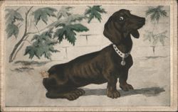 Comic Dachshund Dog Farting Postcard