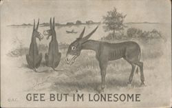 Comic Donkeys: Gee But I'm Lonesome Postcard