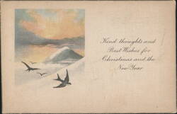 Kind Thoughts Best Wishes Christmas New Year Winter Mountain Birds Postcard