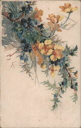 Botanical Illustration of Juniper Berries and Yellow Flowers Postcard