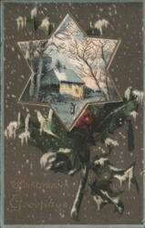 Christmas Greetings with Winter Scene in Star & Snow-Covered Holly Postcard