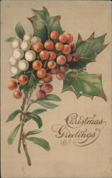 Christmas Greetings Holly Branch with Red and White Berries Postcard