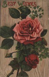 Best Wishes Pink Rose and Bud with Green Leaves and Ferns Postcard