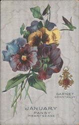 January Pansy Heartsease Birth Month Flower, Garnet Constancy Postcard