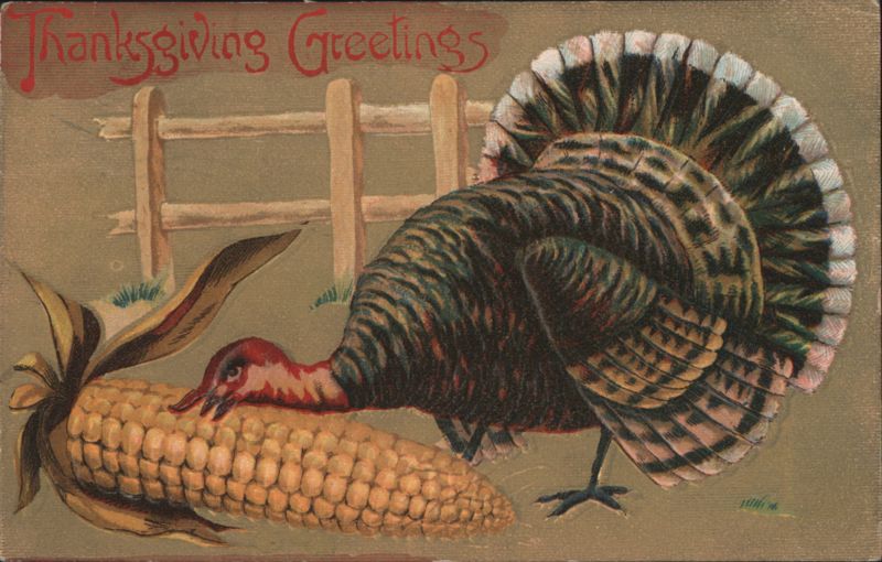 Thanksgiving Greetings Turkey Eating Corn Cob Illustration