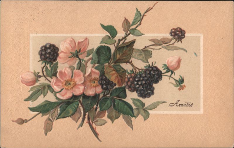 Pink Flowers, Blackberries & 'Amitié' Greeting
