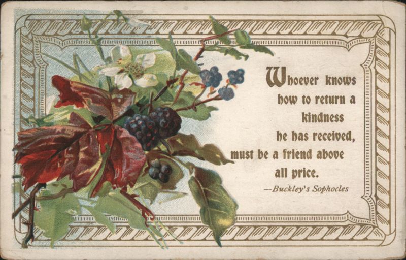 Floral Arrangement with Berries & Leaves, Friendship Quote by Sophocles
