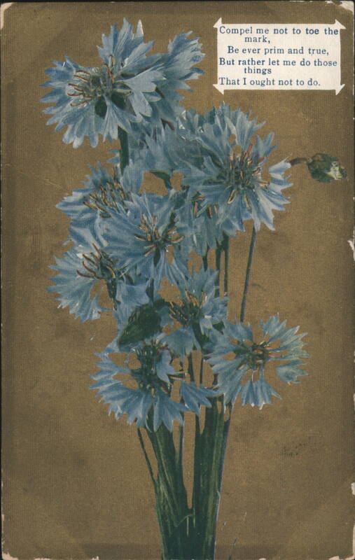 Blue Cornflowers Bouquet with 'Compel Me Not' Poetic Saying