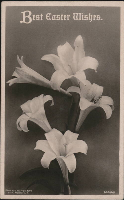 Best Easter Wishes with Easter Lilies H. Wessler Flowers