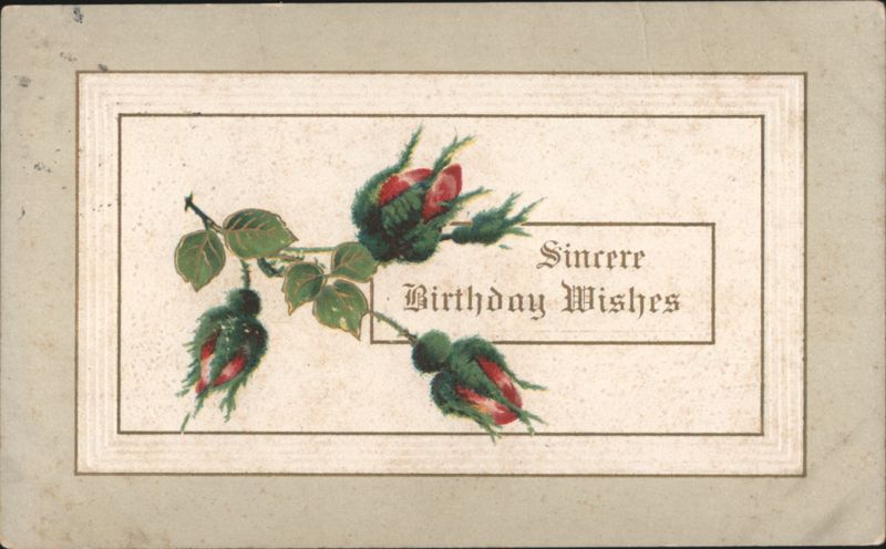 Sincere Birthday Wishes with Red Rosebuds Illustration
