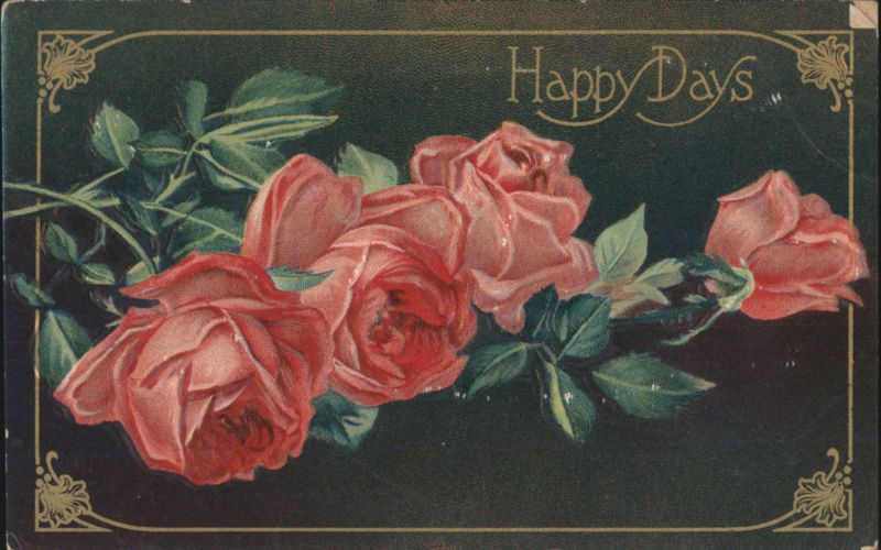 Happy Days Pink Roses Floral Illustration Flowers