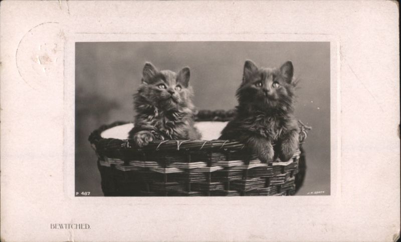 Bewitched: Two Fluffy Kittens in a Woven Basket J.H. COOTE