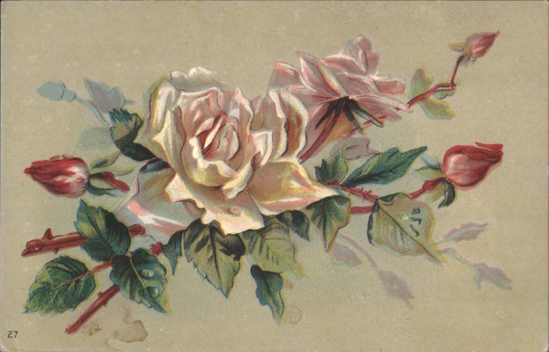 Pink and Cream Roses Floral Arrangement Flowers