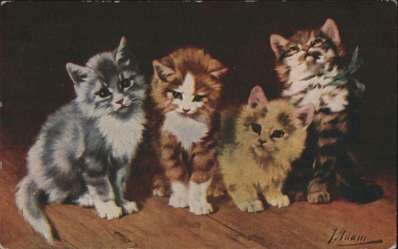 Four Adorable Kittens Sitting on a Wooden Floor J. Idlam