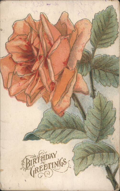 Birthday Greetings with Large Orange Rose and Green Leaves