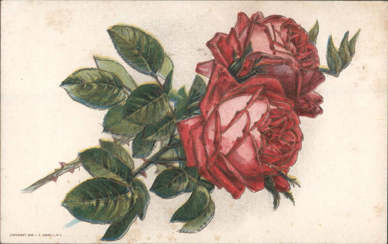 Two Red Roses with Green Leaves, Copyright 1908 Flowers