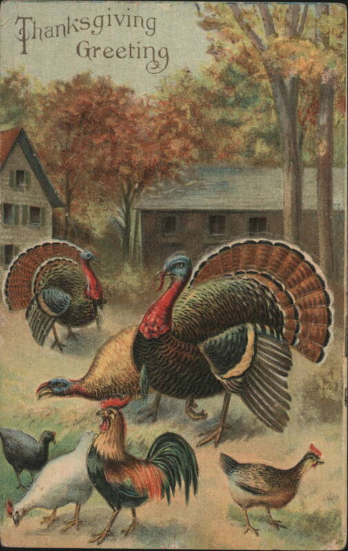 Thanksgiving Greeting with Turkeys, Rooster, Chicken, and Duck