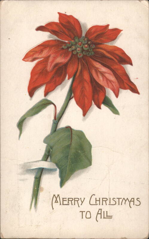 Poinsettia Flower with Merry Christmas Greeting