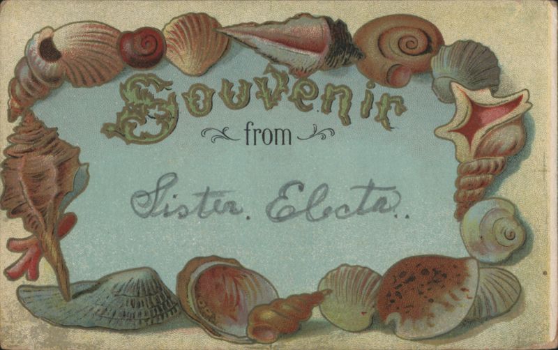 Souvenir from Sister Electa with Seashell Border Seashells