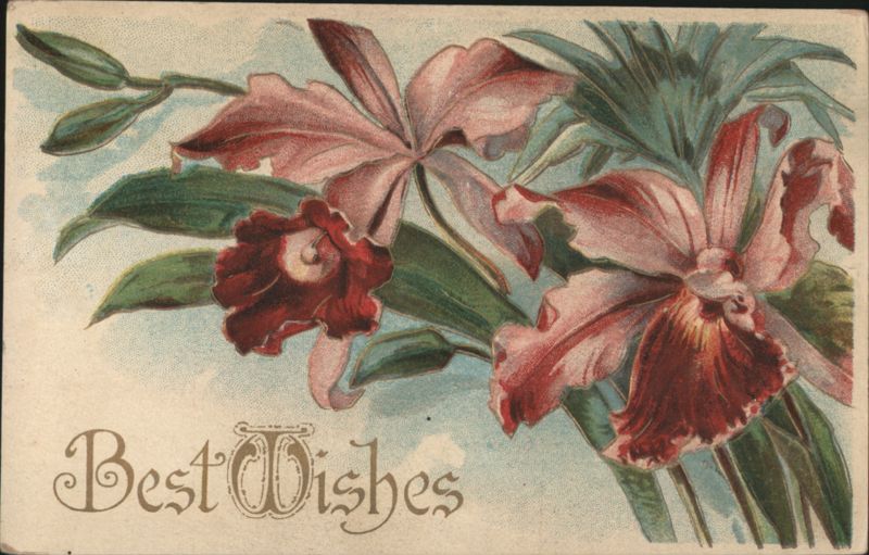 Best Wishes with Red Orchids Flowers