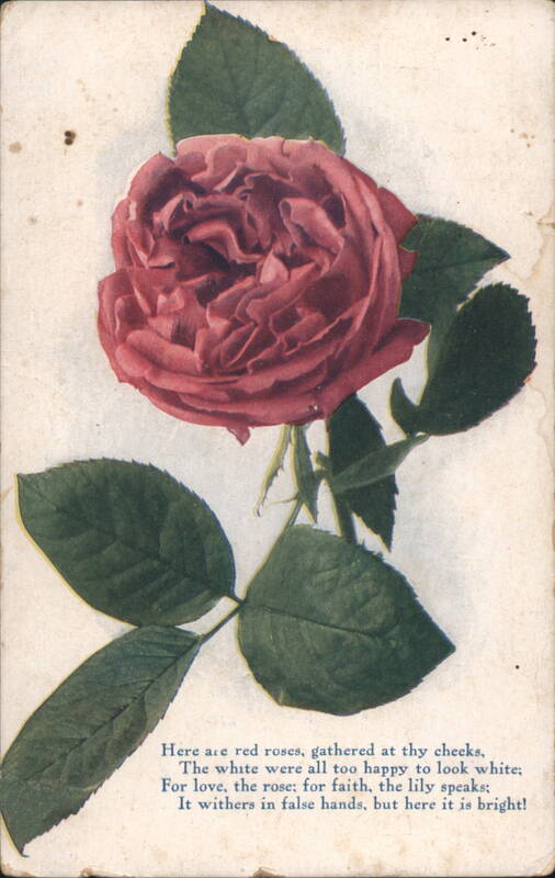Red Rose with Poetic Verse 'Here are red roses', Chief, MI Postmark