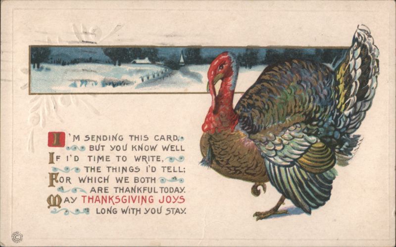 Colorful Thanksgiving Turkey in Snowy Landscape with Sentimental Verse
