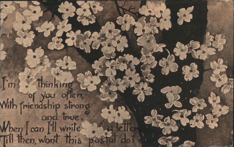 Cherry Blossoms with Sentimental Poem Flowers
