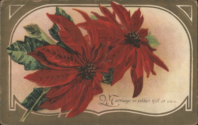 Red Poinsettias with 'Marriage is either kill or cure' Sentiment