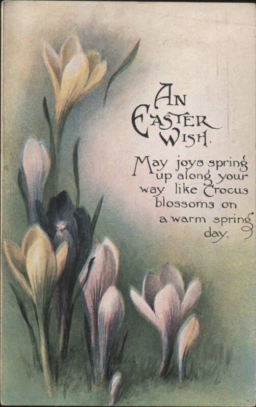 An Easter Wish: Crocus Blossoms on a Warm Spring Day