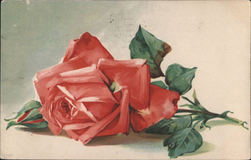 Red Rose with Green Leaves and Bud Illustration, 1917