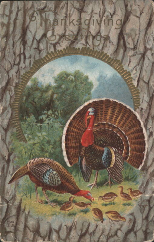 Thanksgiving Greetings with Turkeys and Poults in Wood-Grain Frame