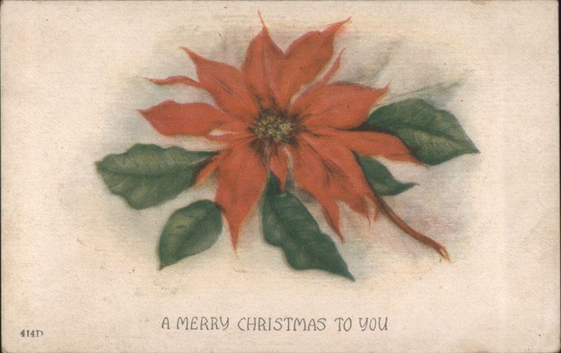Red Poinsettia Flower Christmas Greeting Card
