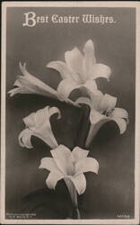 Best Easter Wishes with Easter Lilies Postcard