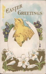 Easter Greetings Chick Hatching from Egg with Violets and Lilies Postcard