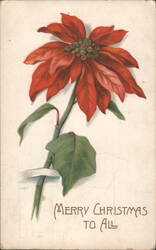 Poinsettia Flower with Merry Christmas Greeting Postcard