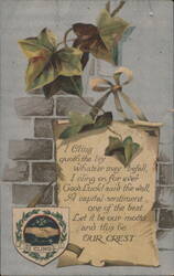 I Cling Quoth the Ivy with Crest and Good Luck Sentiment Postcard