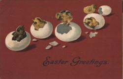 Easter Greetings with Chicks Hatching from Eggs Postcard