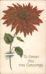 Poinsettia Flower with Christmas Greeting, Tripoli, NY Postmark 1911 Postcard