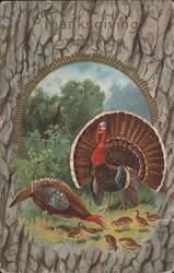 Thanksgiving Greetings with Turkeys and Poults in Wood-Grain Frame Postcard