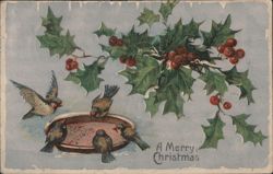 Birds and Holly with Berries at Bird Bath, A Merry Christmas Postcard