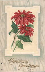 Christmas Greetings with Red Poinsettias, Piqua, Ohio Postcard