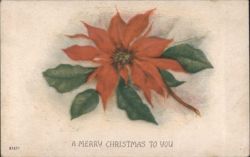 Red Poinsettia Flower Christmas Greeting Card Postcard