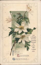 Fond Easter Greeting with White Spring Flowers Postcard