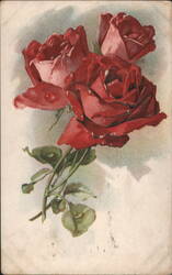 Three Red Roses Artistic Illustration, Dec. 6, 1909 Postcard