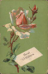 Best Wishes Rose Floral Greeting Illustration Postcard