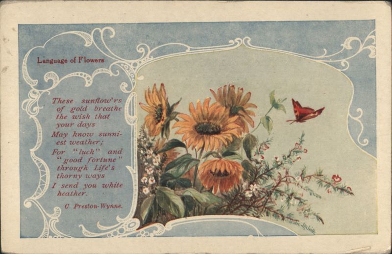 Sunflowers & Butterfly with 'Language of Flowers' Poem