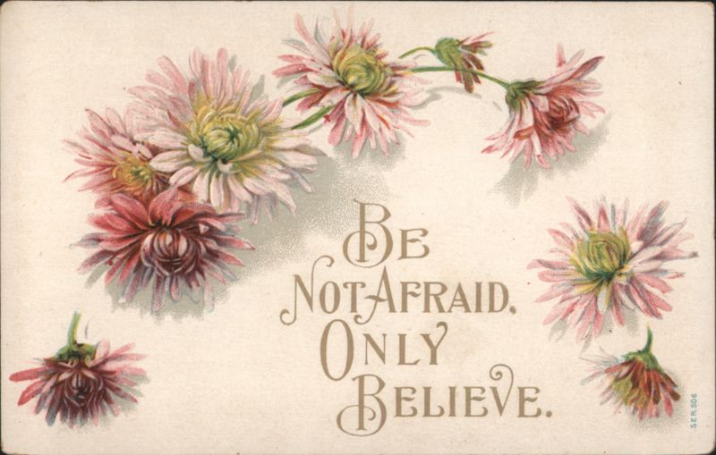 BE NOT AFRAID. ONLY BELIEVE. with Pink and White Chrysanthemum Flowers