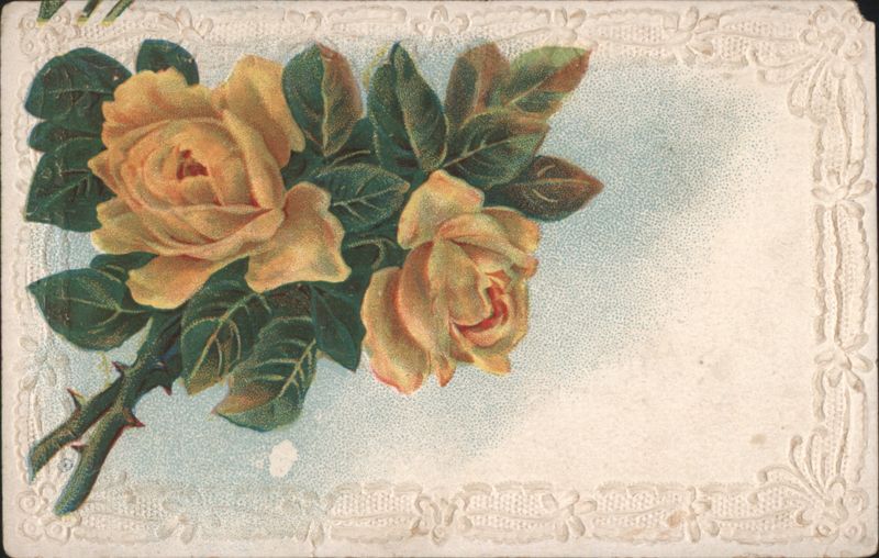 Yellow Roses Embossed Lace Border Greeting Card Flowers