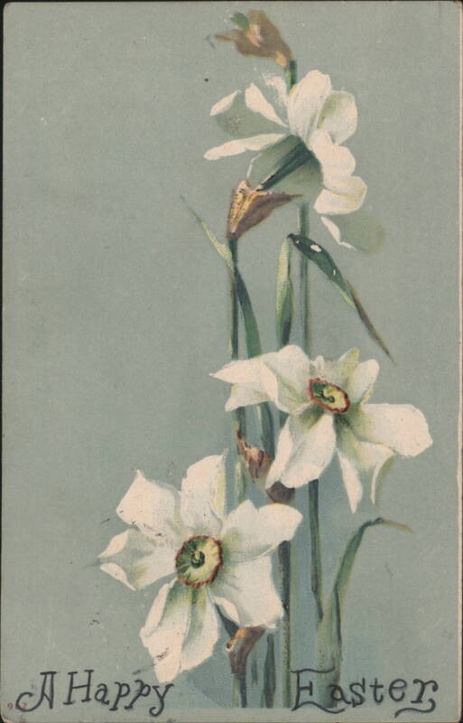 White Daffodils Easter Greeting - A Happy Easter Flowers